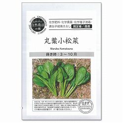 野菜の種：丸葉小松菜[野菜タネ　3-10月まき]
