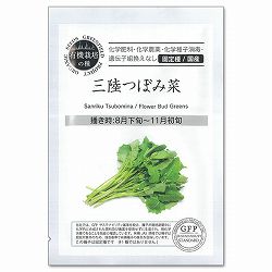 野菜の種：三陸つぼみ菜 2袋セット[野菜タネ　8-11月まき]