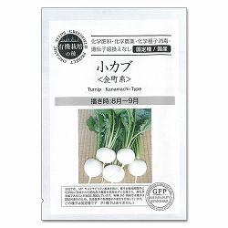 野菜の種：小カブ（金町系） 2袋セット[野菜タネ　8-9月まき]