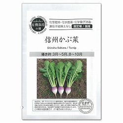 野菜の種：信州かぶ菜 2袋セット[野菜タネ　3-5月、8-10月まき]