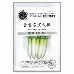 野菜の種：青首宮重大根（あおくびみやしげだいこん） 2袋セット[野菜タネ　8-9月まき]