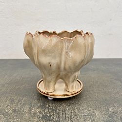 ランプポット アンド ソーサー Sサイズ アイボリー（幅14.8cm、奥行14.3cm、高さ13.4cm）