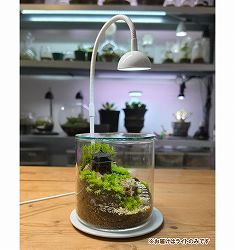 テラリウム専用育成ライト：GROW 01（グロウ０１ホワイト）