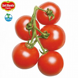 [26年4月下旬予約]トマト（中玉）：フルーツルビー(R)EX　4株セット