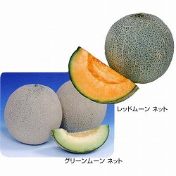 メロン：グリーンムーンネットとレッドムーンネット接木苗3.5号ポット2種4株セット