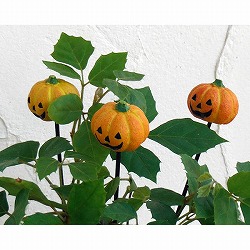 ハロウィンピック：パンプキン3個セット （HW1295）