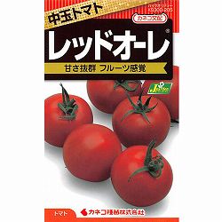トマト：中玉トマト レッドオーレ [野菜タネ]*